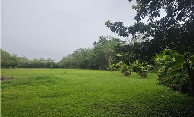 Se vende finca comercial en Penonomé de 1.4 has.