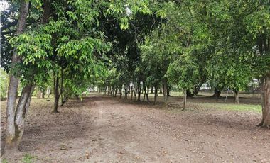 Se vende finca comercial en Penonomé de 1.4 has.