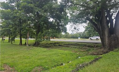 Se vende finca comercial en Penonomé de 1.4 has.