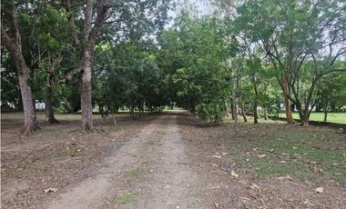 Se vende finca comercial en Penonomé de 1.4 has.