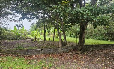Se vende finca comercial en Penonomé de 1.4 has.