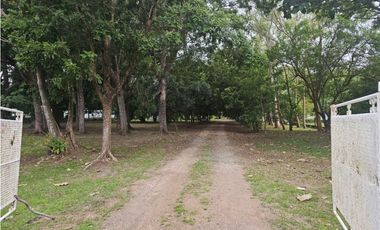 Se vende finca comercial en Penonomé de 1.4 has.