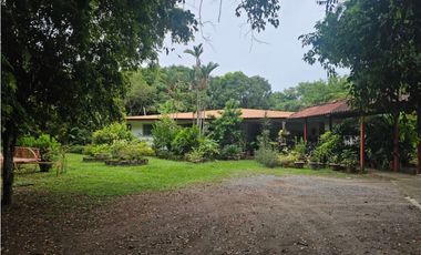 Se vende finca comercial en Penonomé de 1.4 has.