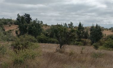 Terreno Construccion  en Venta en Fundo los almendros