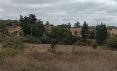 Terreno Construccion  en Venta en Fundo los almendros