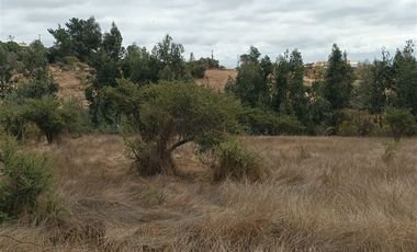 Terreno Construccion  en Venta en Fundo los almendros