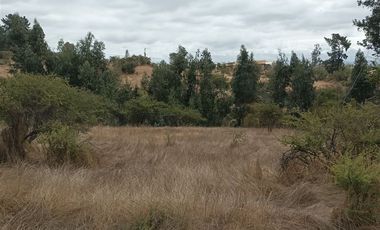 Terreno Construccion  en Venta en Fundo los almendros