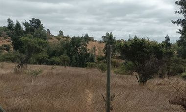Terreno Construccion  en Venta en Fundo los almendros