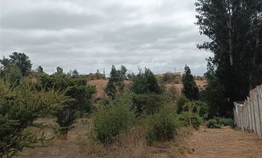 Terreno Construccion  en Venta en Fundo los almendros