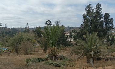 Terreno Construccion  en Venta en Fundo los almendros