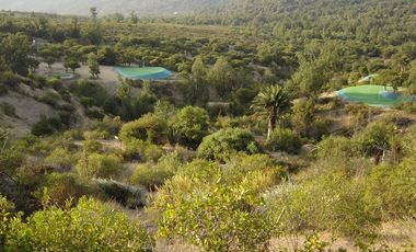 Parcela en Venta en Oasis La Campana