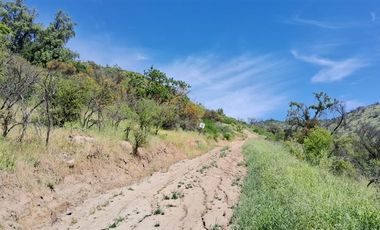 Parcela en Venta en Oasis La Campana