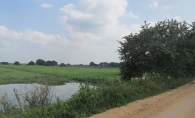 Terreno en venta en Centro, Jonuta