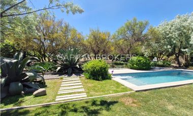 Mediterránea,3D+SS+Escrit, Polo, P. Roja (VE)