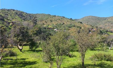 Parcela con 2 Rol, Quebrada Alvarado 1,7 ha
