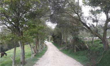 Venta Finca con Uso MIXTO en SIBATE, 10 HAS. YG