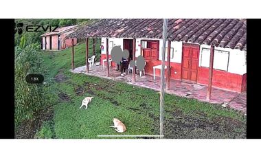 Vendo finca produciendo aguacate, san vicente ferrer  20 HA. CH-MO