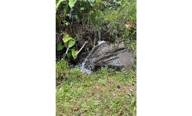 Vendo finca produciendo aguacate, san vicente ferrer  20 HA. CH-MO