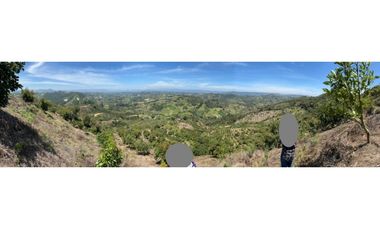 Vendo finca produciendo aguacate, san vicente ferrer  20 HA. CH-MO