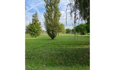 Ibarlucea: Calle 7 y Rivadavia, Barrio abierto Don Hector Lote de 533 m2 cercado, Santa Fe Argentina