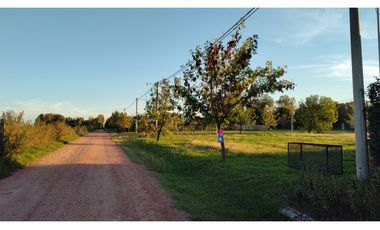 Ibarlucea: Calle 7 y Rivadavia, Barrio abierto Don Hector Lote de 533 m2 cercado, Santa Fe Argentina