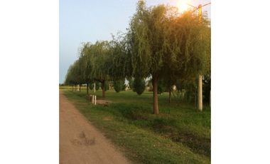 Ibarlucea: Calle 7 y Rivadavia, Barrio abierto Don Hector Lote de 533 m2 cercado, Santa Fe Argentina