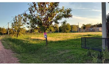 Ibarlucea: Calle 7 y Rivadavia, Barrio abierto Don Hector Lote de 533 m2 cercado, Santa Fe Argentina