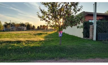 Ibarlucea: Calle 7 y Rivadavia, Barrio abierto Don Hector Lote de 533 m2 cercado, Santa Fe Argentina
