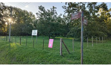 Ibarlucea: Calle 7 y Rivadavia, Barrio abierto Don Hector Lote de 533 m2 cercado, Santa Fe Argentina