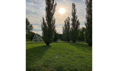 Ibarlucea: Calle 7 y Rivadavia, Barrio abierto Don Hector Lote de 533 m2 cercado, Santa Fe Argentina