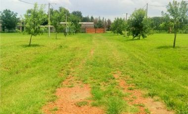 Ibarlucea: Calle 7 y Rivadavia, Barrio abierto Don Hector Lote de 533 m2 cercado, Santa Fe Argentina