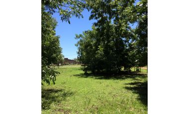 Ibarlucea: Calle 7 y Rivadavia, Barrio abierto Don Hector Lote de 533 m2 cercado, Santa Fe Argentina