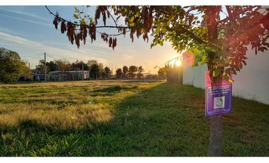 Ibarlucea: Calle 7 y Rivadavia, Barrio abierto Don Hector Lote de 533 m2 cercado, Santa Fe Argentina