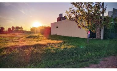 Ibarlucea: Calle 7 y Rivadavia, Barrio abierto Don Hector Lote de 533 m2 cercado, Santa Fe Argentina