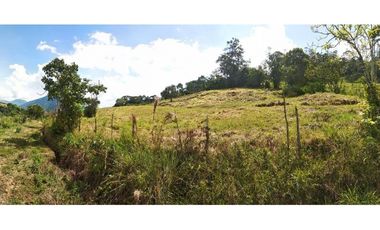 VENDEMOS LOTE CON HERMOSA VISTA EN FREDONIA