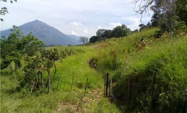 VENDEMOS LOTE CON HERMOSA VISTA EN FREDONIA