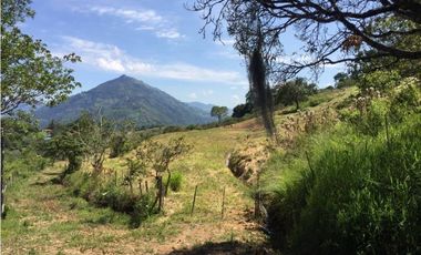 VENDEMOS LOTE CON HERMOSA VISTA EN FREDONIA
