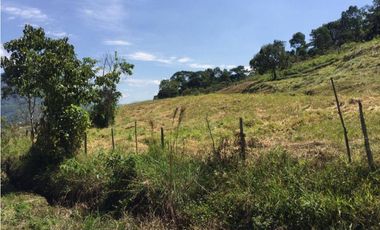 VENDEMOS LOTE CON HERMOSA VISTA EN FREDONIA