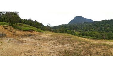 VENDEMOS LOTE CON HERMOSA VISTA EN FREDONIA
