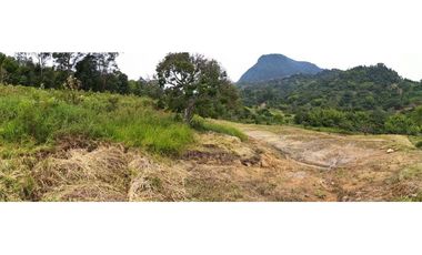 VENDEMOS LOTE CON HERMOSA VISTA EN FREDONIA
