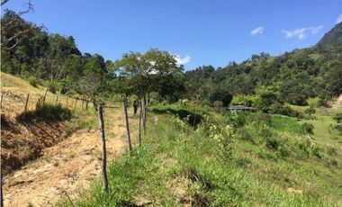 VENDEMOS LOTE CON HERMOSA VISTA EN FREDONIA