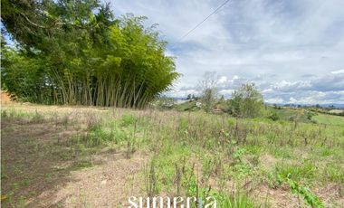 Lote independiente en Marinilla