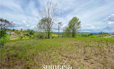 Lote independiente en Marinilla