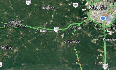 42.3 hectareas en Venta zona de Hocabá