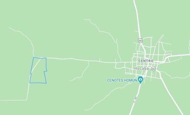 42.3 hectareas en Venta zona de Hocabá