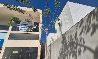 Local comercial en renta en planta baja, en Plaza Manere Conkal