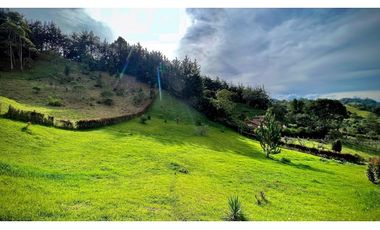 Venta Finca Independiente El Retiro