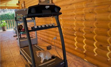 LA JOYITA, CASA EN RENTA POR NOCHE