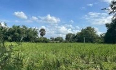 Land for sale near Kasetsart University, Kamphaeng Saen District, Nakhon Pathom