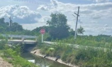 Land for sale near Kasetsart University, Kamphaeng Saen District, Nakhon Pathom